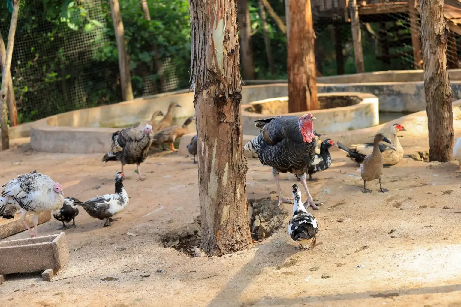 Zenith Adventure Park