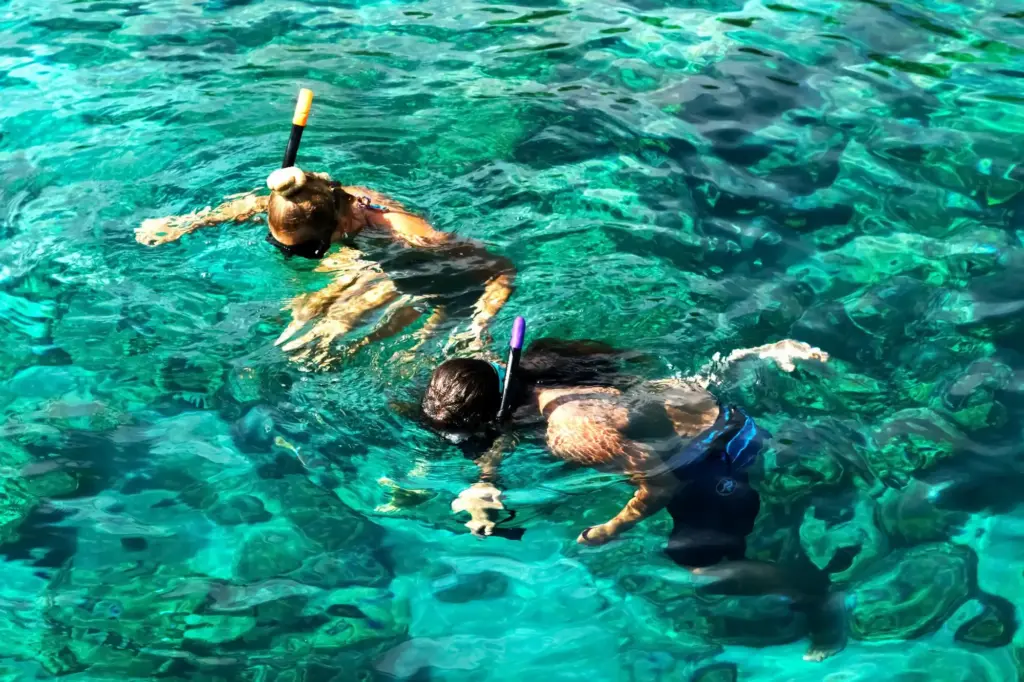 Tourists Are Engaged in Snorkeling in the Open Sea Holidays in the Seaside Resort - Kisite Mpunguti Marine Park & Reserve