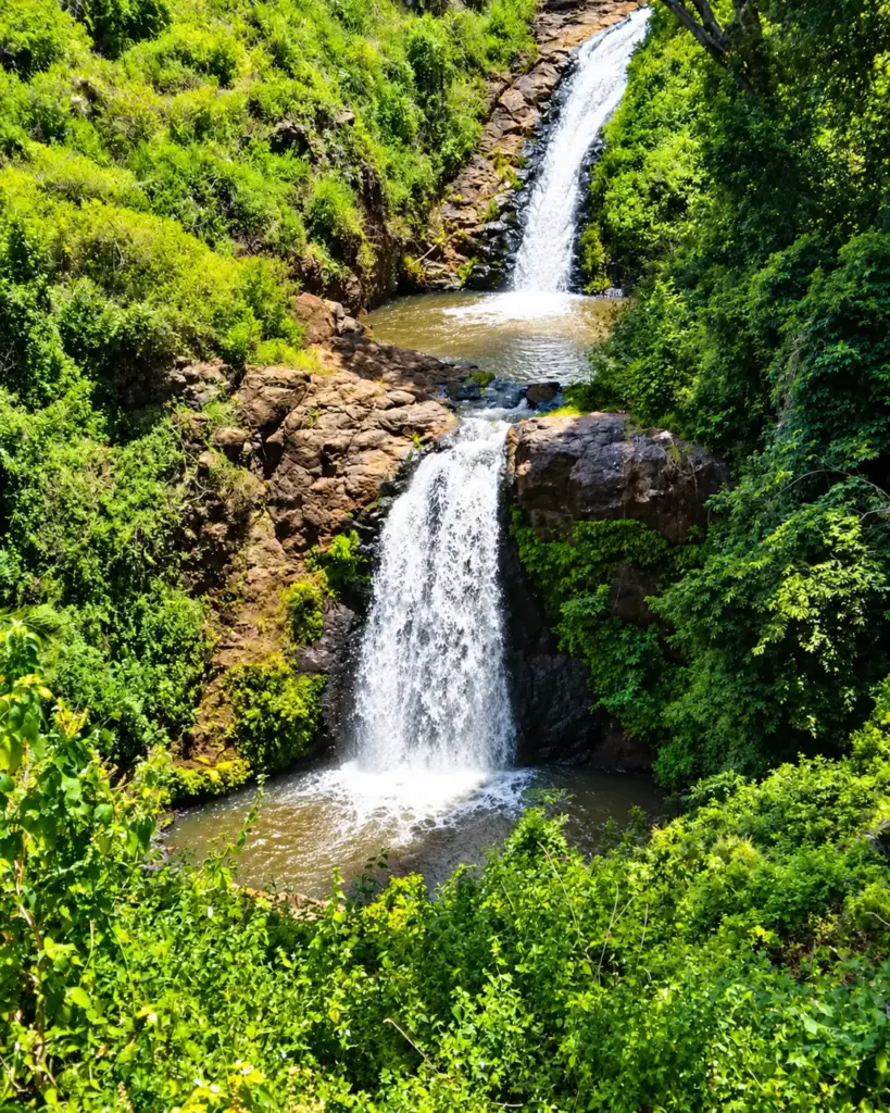 Two-tier waterfall cascading over rocky ledges into natural pools surrounded by lush green vegetation at Ngare Ndare Forest, Kenya.