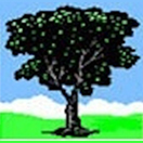 Ngare Ndare Forest logo