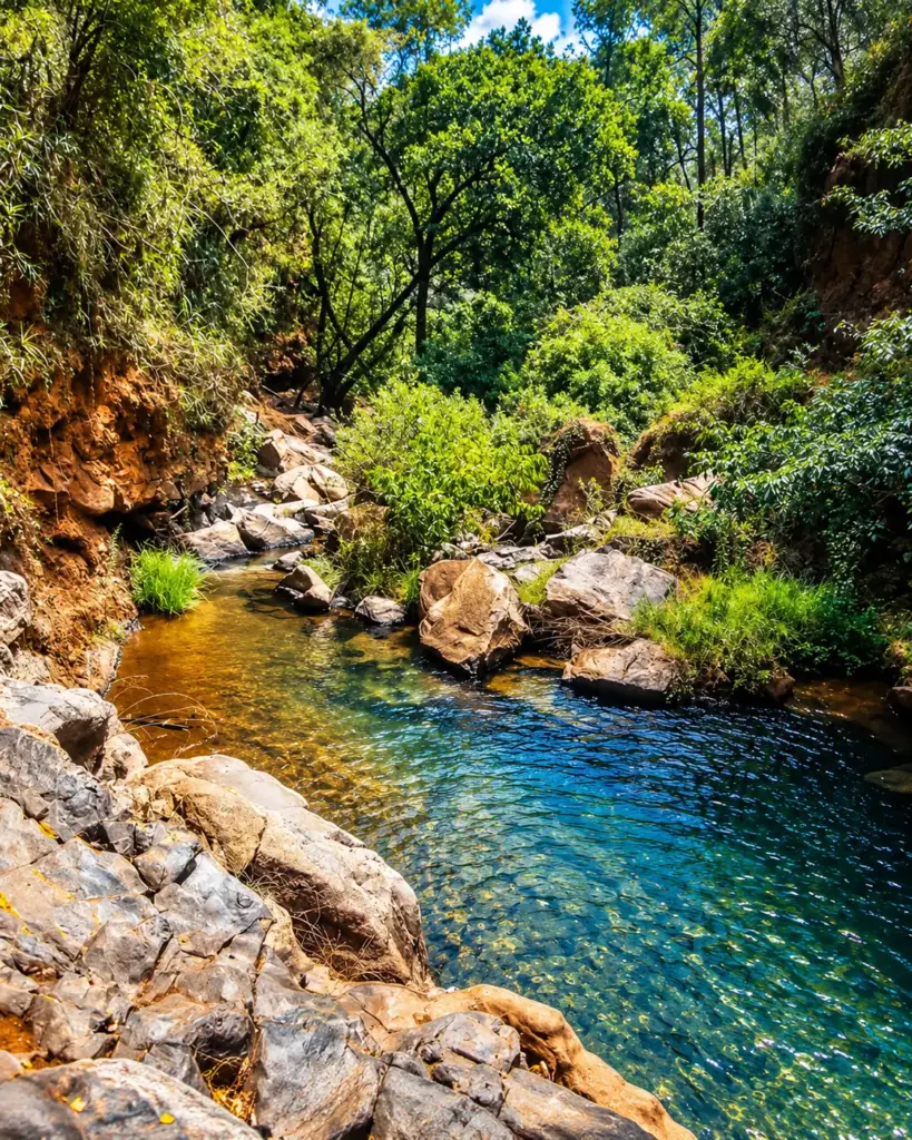 Rocky natural pool surrounded by dense indigenous woodland and green vegetation at Ngare Ndare Forest, Kenya.